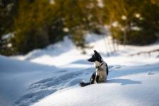 Philippe MURTAS - PHILIPPE MURTAS PHOTOGRAPHE