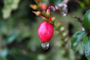 Amandine LAMRI - LAMRI